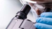 Lab tech looking at scientific samples under a microscope.